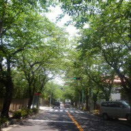 p1010005