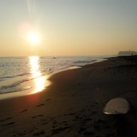 DSCF0091