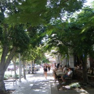 DSCF0374