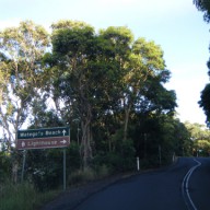 DSCF0353